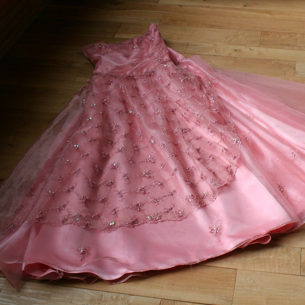 Formal Gown /Size L / 12 - Picture 9 of 14